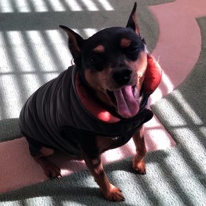 Meet your Posher, Ricky